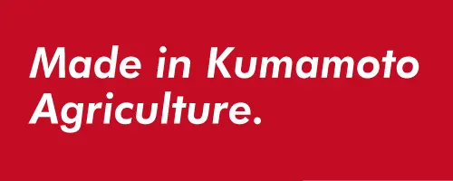 Made in Kumamoto Agriculture　｜　合同会社ベジコン