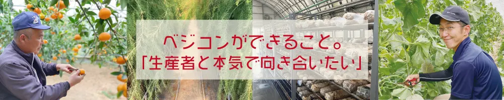 ベジコンができること　合同会社 ベジコン | 熊本の農業に価値を創造　農業販促コーディネートでお手伝い