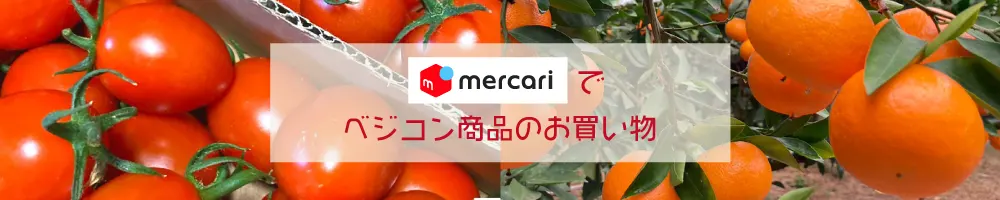 メルカリ　合同会社 ベジコン | 熊本の農業に価値を創造　農業販促コーディネートでお手伝い