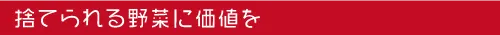 捨てられる野菜に価値を　合同会社 ベジコン | 熊本の農業に価値を創造　農業販促コーディネートでお手伝い