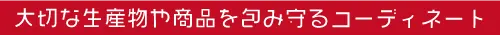 大切な生産物や商品を包み守るコーディネート　合同会社 ベジコン | 熊本の農業に価値を創造　農業販促コーディネートでお手伝い
